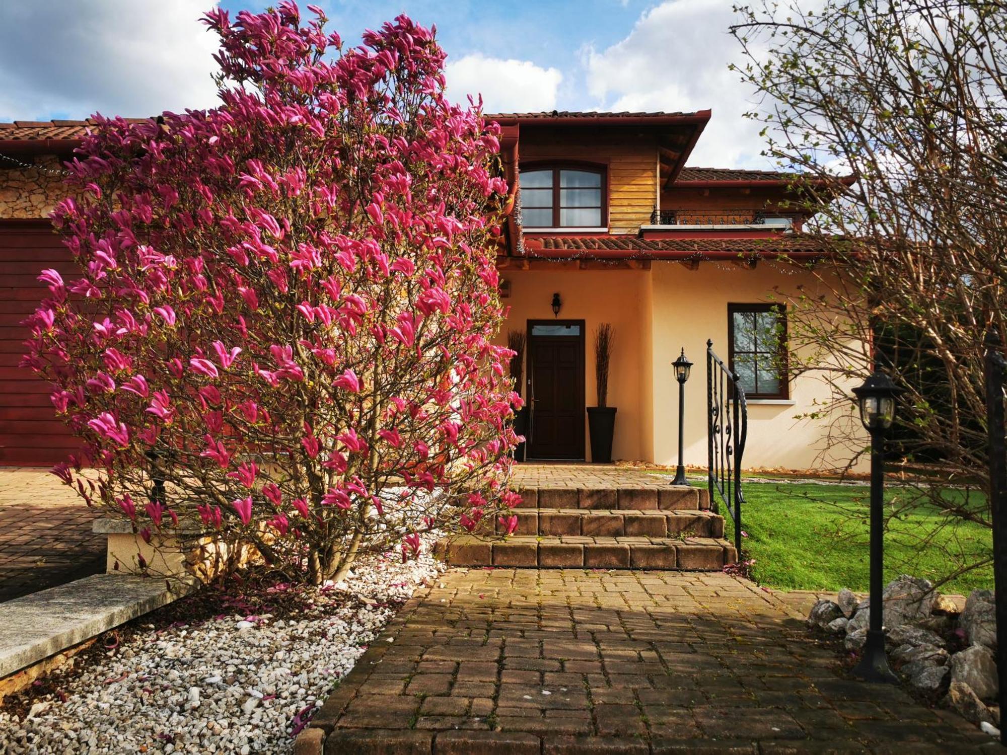 Ferienwohnung Luxury Basement In The Surrounding Of Budapest Mogyoród Exterior foto